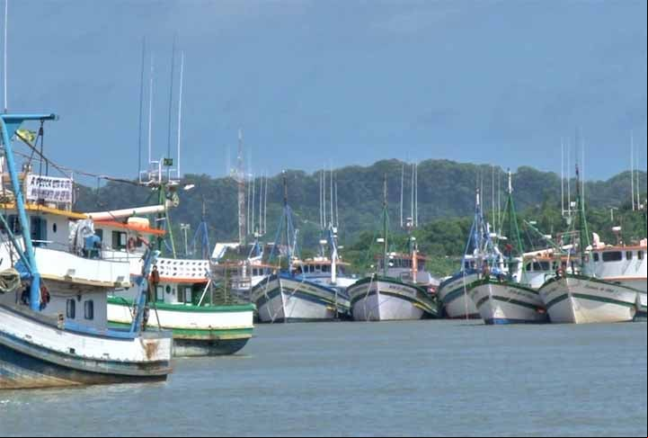 Diante deste cenário, o Flipar reúne também nesta galeria as principais espécies de baleias que existem no litoral brasileiro.