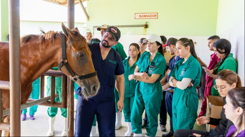 A UniAteneu oferta o Curso de Medicina VeterinÃ¡ria nas unidades acadÃªmicas Lagoa de Messejana e Harmony â Bezerra de Menezes 