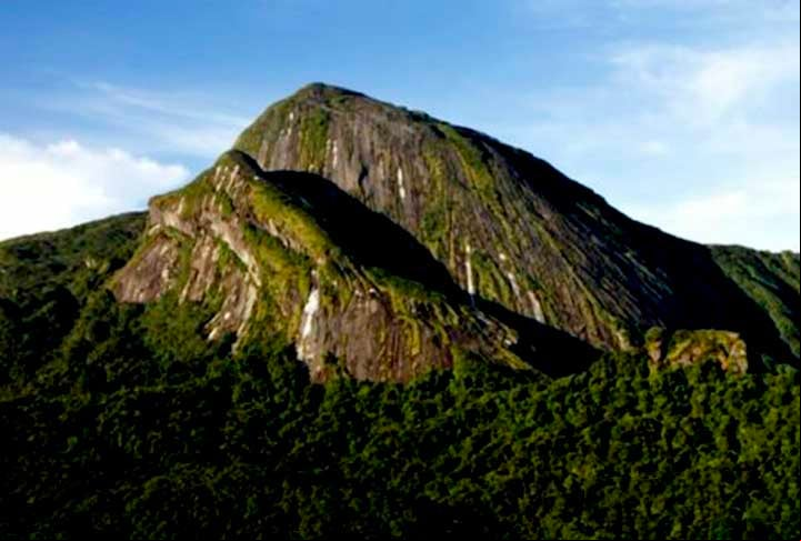 A parente mais próxima dos novos sapos é a Neblinaphryne mayeri, uma outra espécie que o mesmo grupo de cientistas havia descoberto em 2017. Isso numa expedição ao Pico da Neblina, a montanha mais alta do Brasil, que fica 80 quilômetros a oeste do Pico do Imeri.