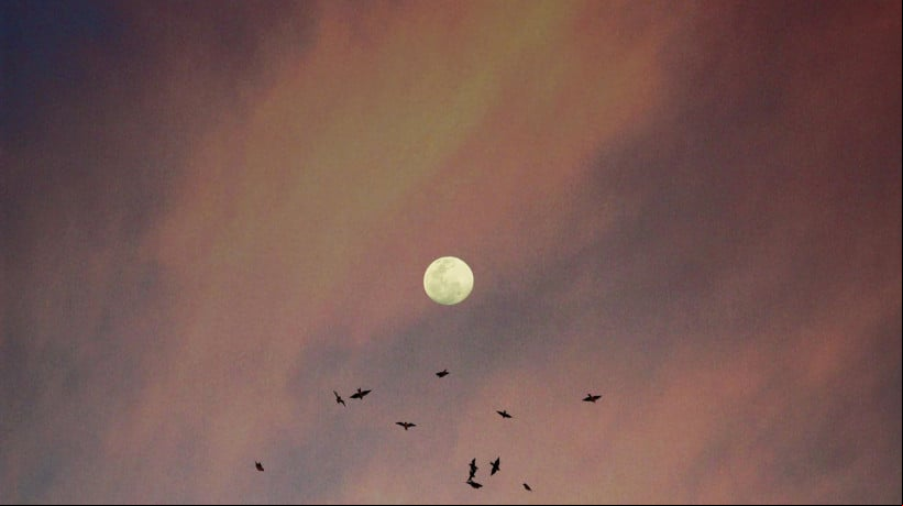 Veja qual fase da lua estamos nesta sexta, dia 13 de junho de 2025; e confira calendário do mês